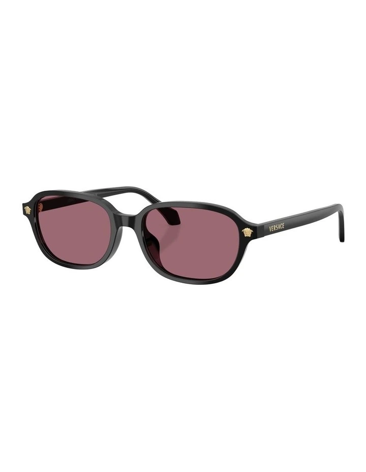 Acetate Sunglasses in Black image 1