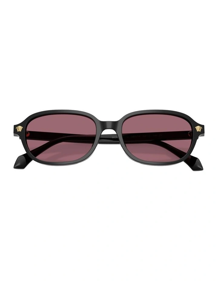 Acetate Sunglasses in Black image 4