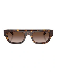 Acetate Sunglasses in Brown
