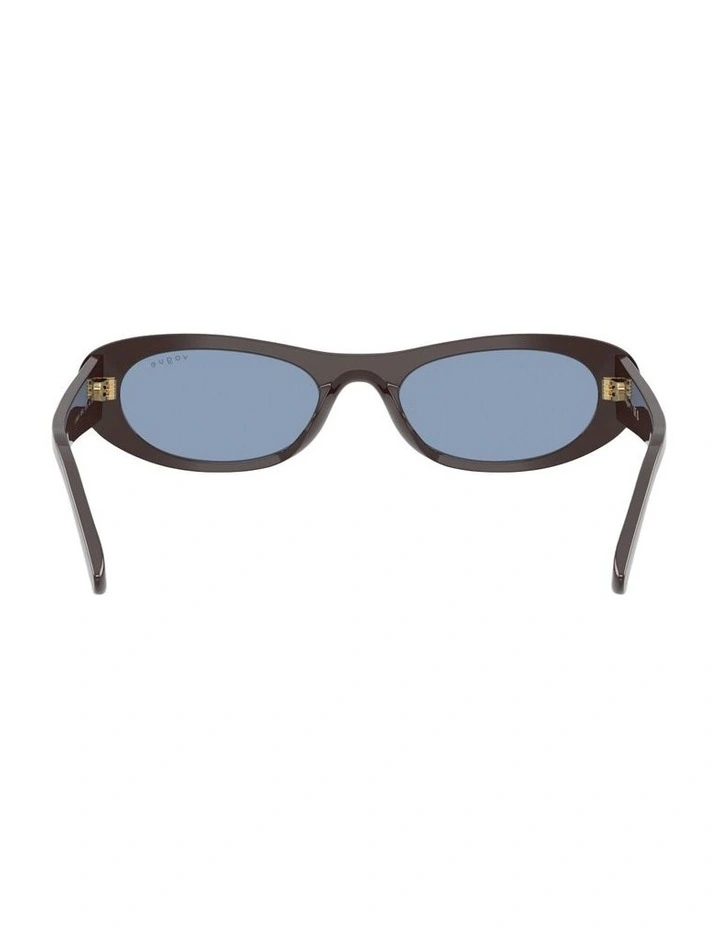 Acetate Sunglasses in Brown image 1