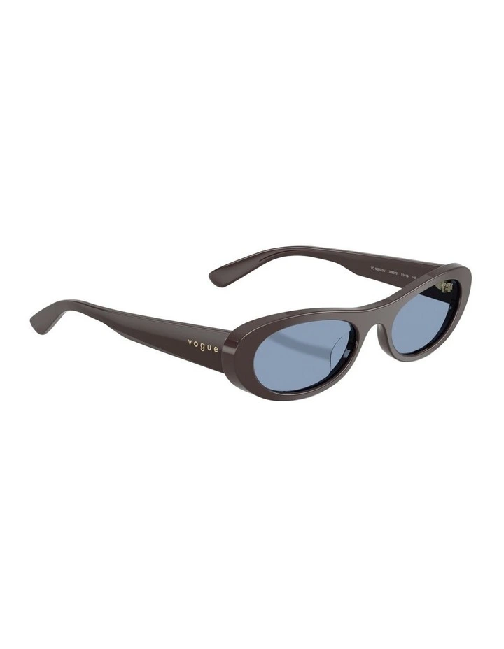 Acetate Sunglasses in Brown image 3