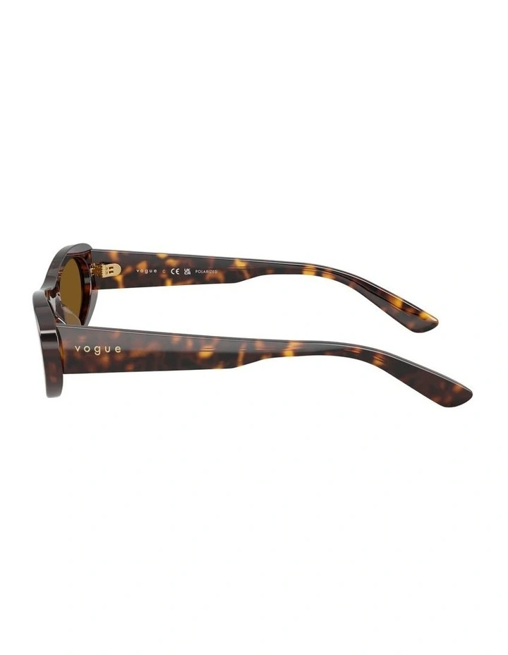 Acetate Polarised Sunglasses in Brown image 3