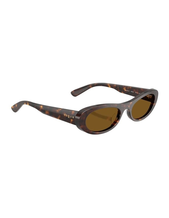 Acetate Polarised Sunglasses in Brown image 5