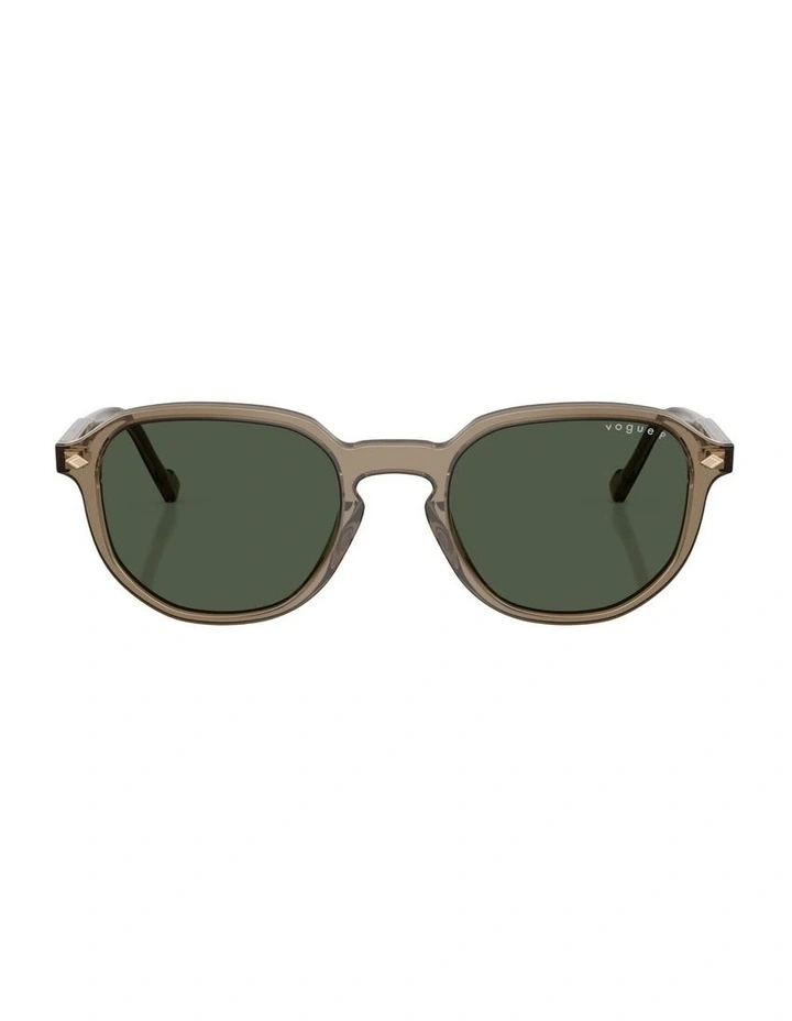 Acetate Polarised Sunglasses in Brown image 1