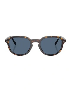 Acetate Sunglasses in Brown