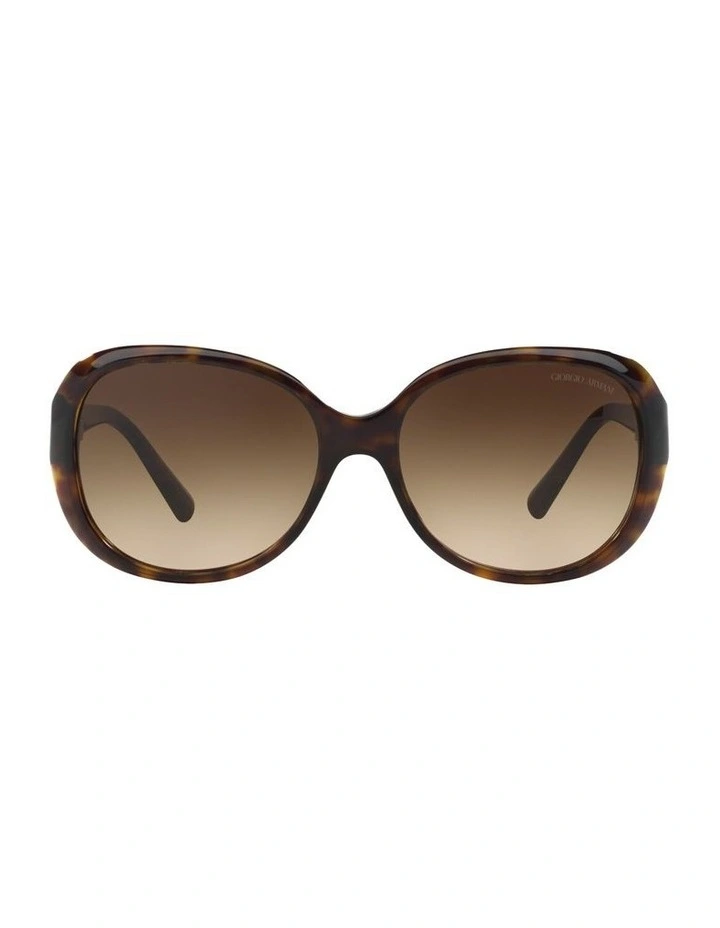 AR8047 Acetate Sunglasses in Tortoise image 1