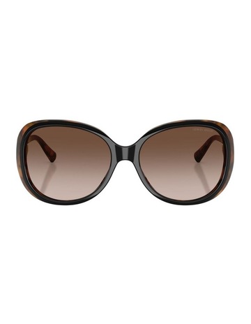 Top Black Havana colour
