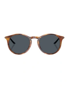 Acetate Sunglasses AR8121 in Tortoise