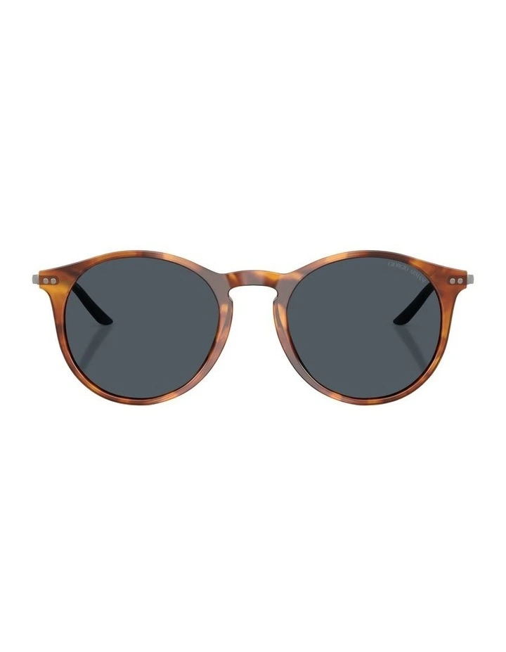 Acetate Sunglasses AR8121 in Tortoise image 1