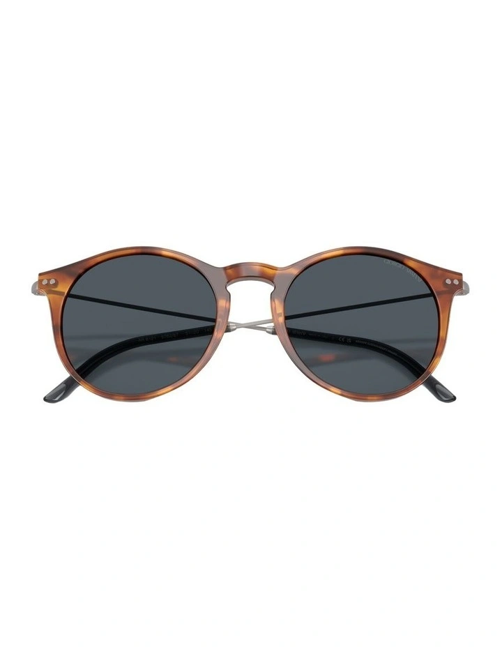 Acetate Sunglasses AR8121 in Tortoise image 3