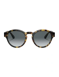 Acetate Sunglasses AR8146 in Tortoise