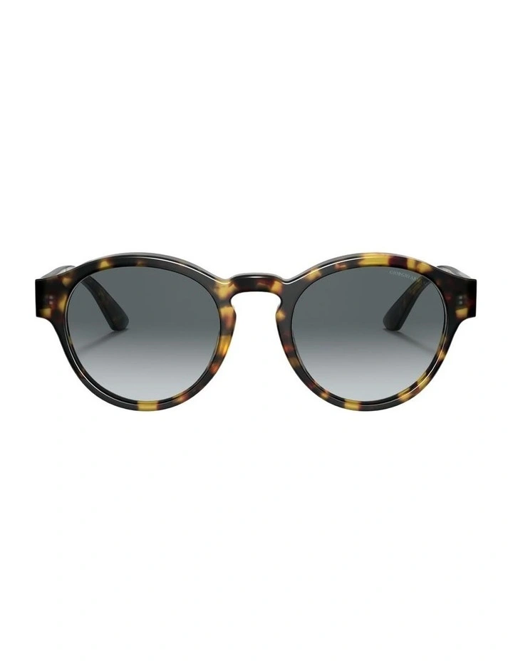 Acetate Sunglasses AR8146 in Tortoise image 1
