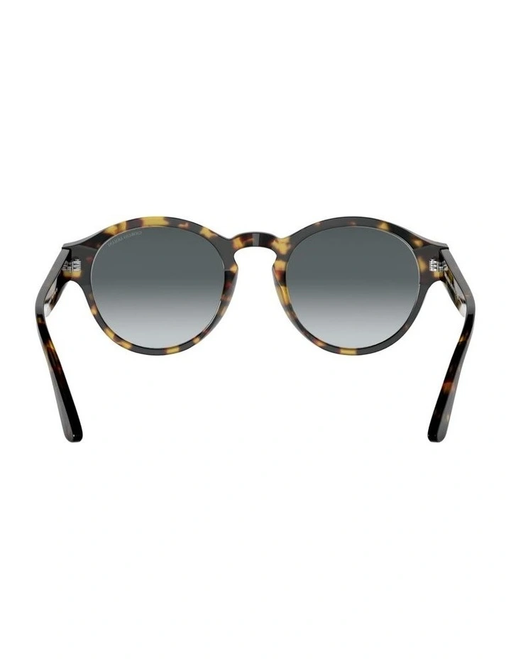 Acetate Sunglasses AR8146 in Tortoise image 2