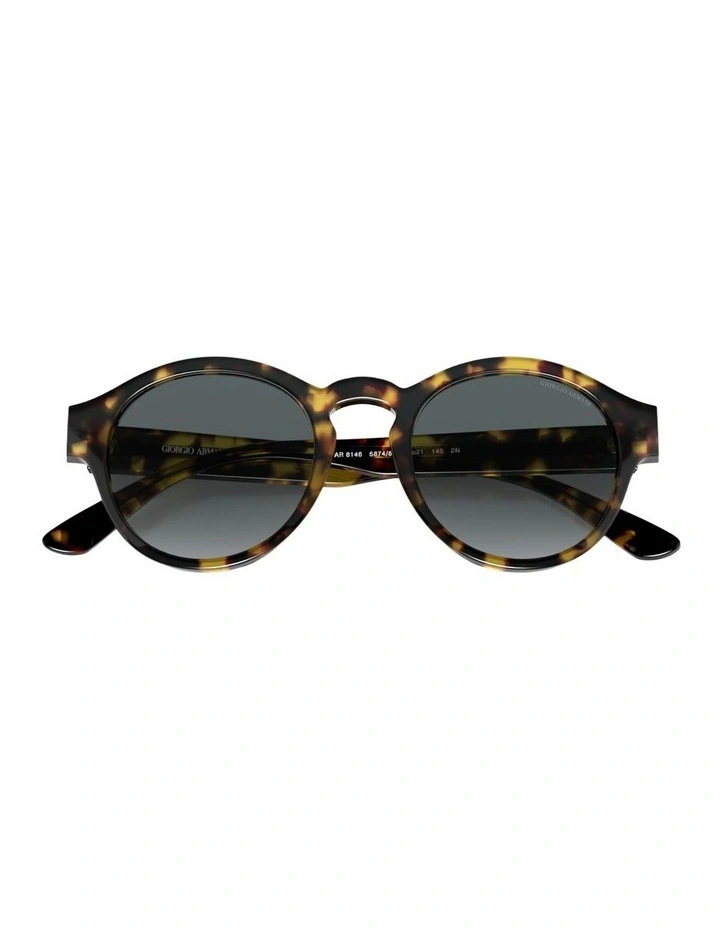 Acetate Sunglasses AR8146 in Tortoise image 3