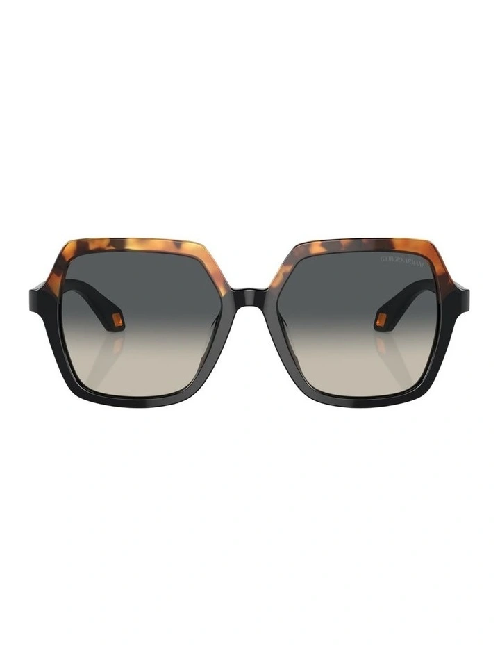 Acetate Sunglasses AR8193U in Tortoise image 1