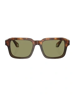 Acetate Sunglasses AR8194U in Tortoise