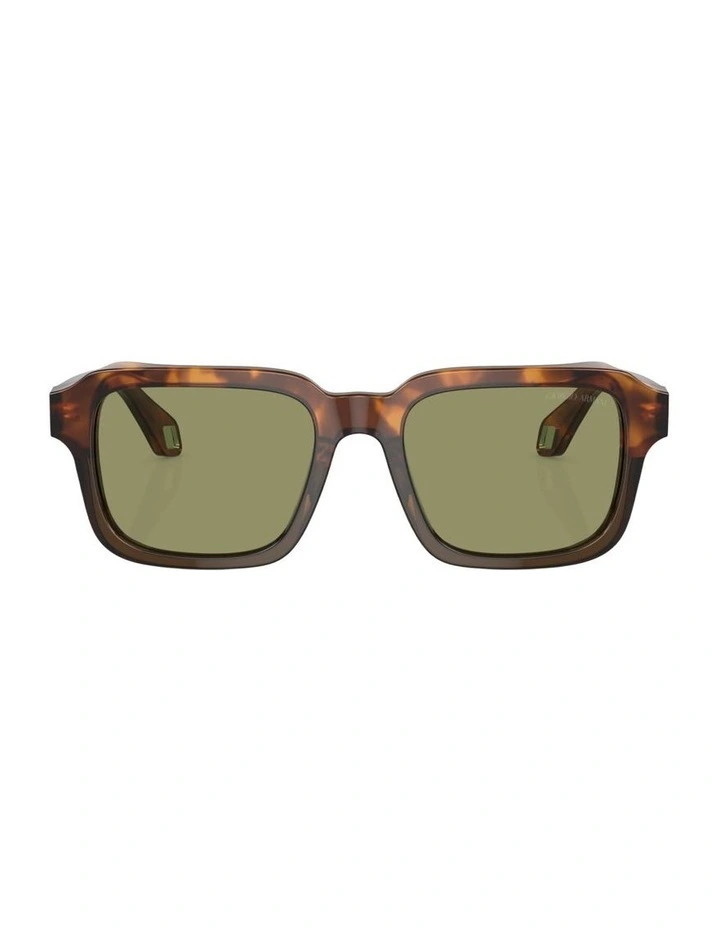 Acetate Sunglasses AR8194U in Tortoise image 1
