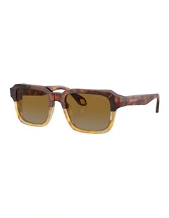 Acetate Sunglasses AR8194U in Brown