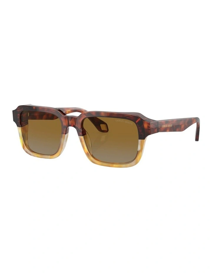 Acetate Sunglasses AR8194U in Brown image 1