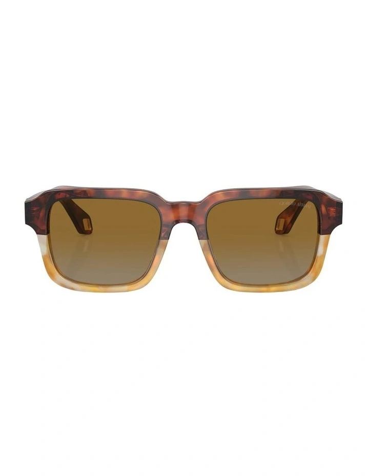 Acetate Sunglasses AR8194U in Brown image 2