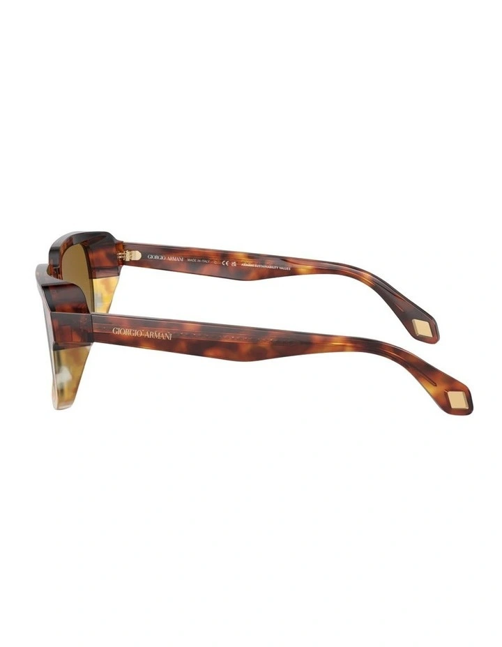 Acetate Sunglasses AR8194U in Brown image 3