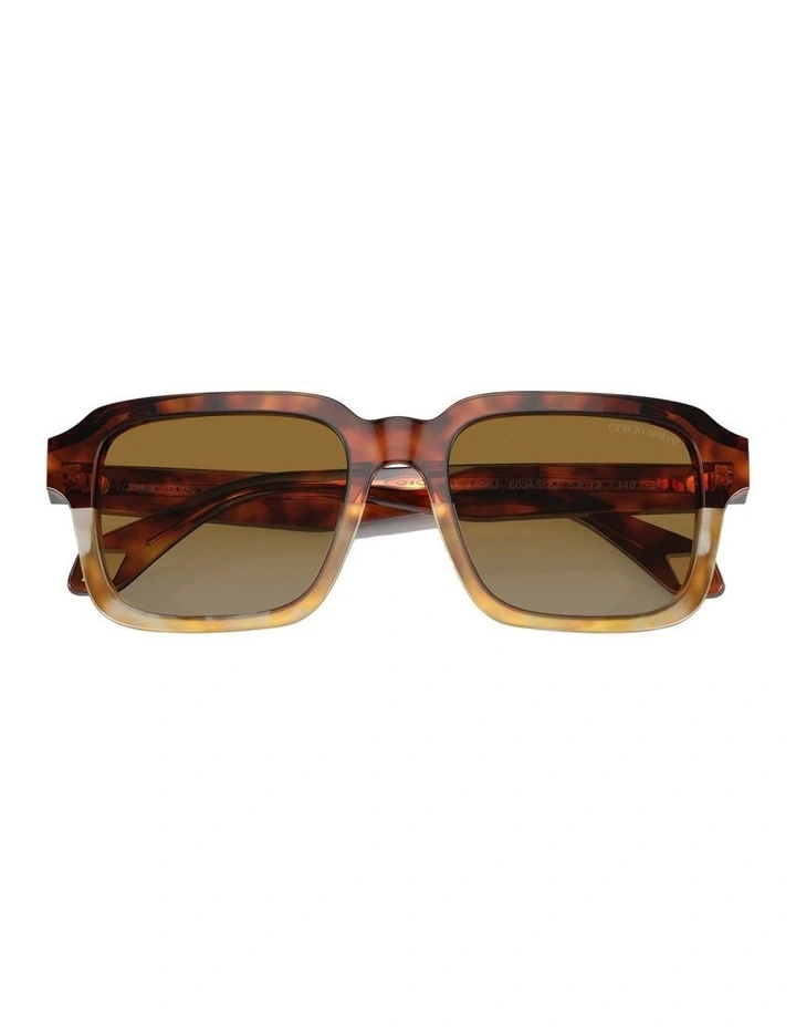 Acetate Sunglasses AR8194U in Brown image 4