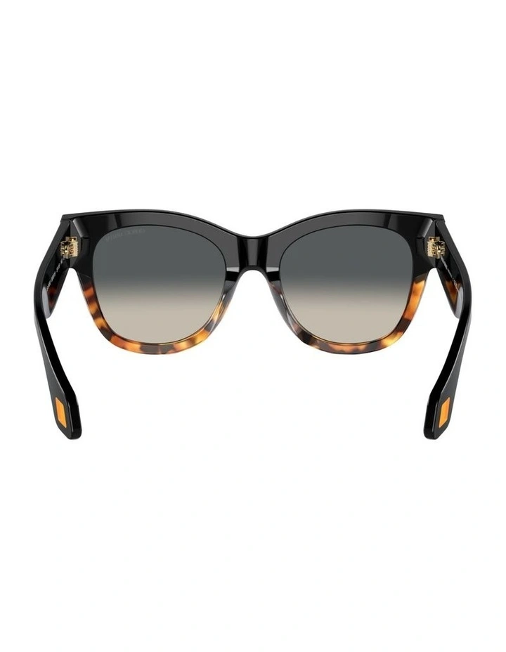 Acetate Sunglasses AR8195U in Black image 3