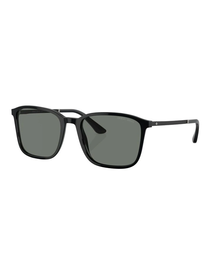 Acetate Sunglasses AR8197 in Black image 1