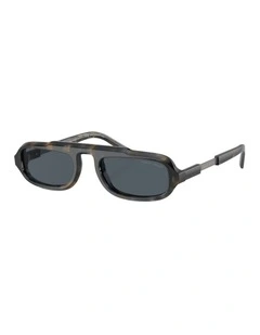 Acetate Sunglasses AR8203 in Tortoise