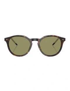 Acetate Sunglasses in Tortoise