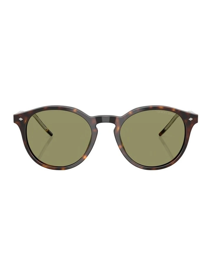 Acetate Sunglasses in Tortoise image 1