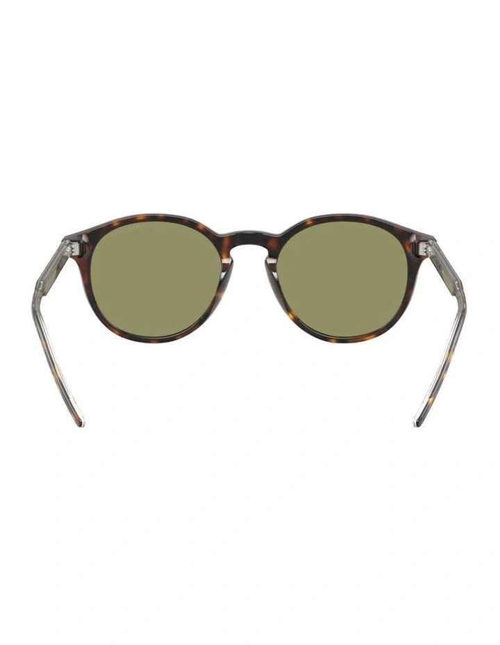Acetate Sunglasses in Tortoise image 2