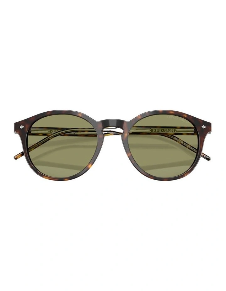 Acetate Sunglasses in Tortoise image 3