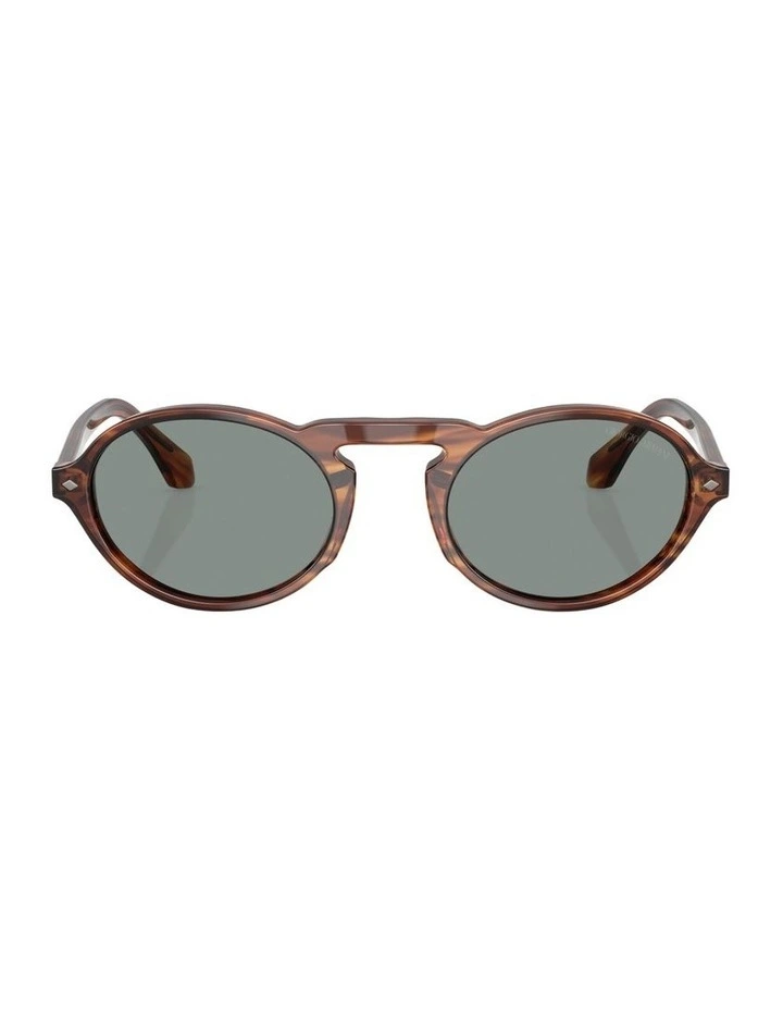 Acetate Sunglasses in Tortoise image 2