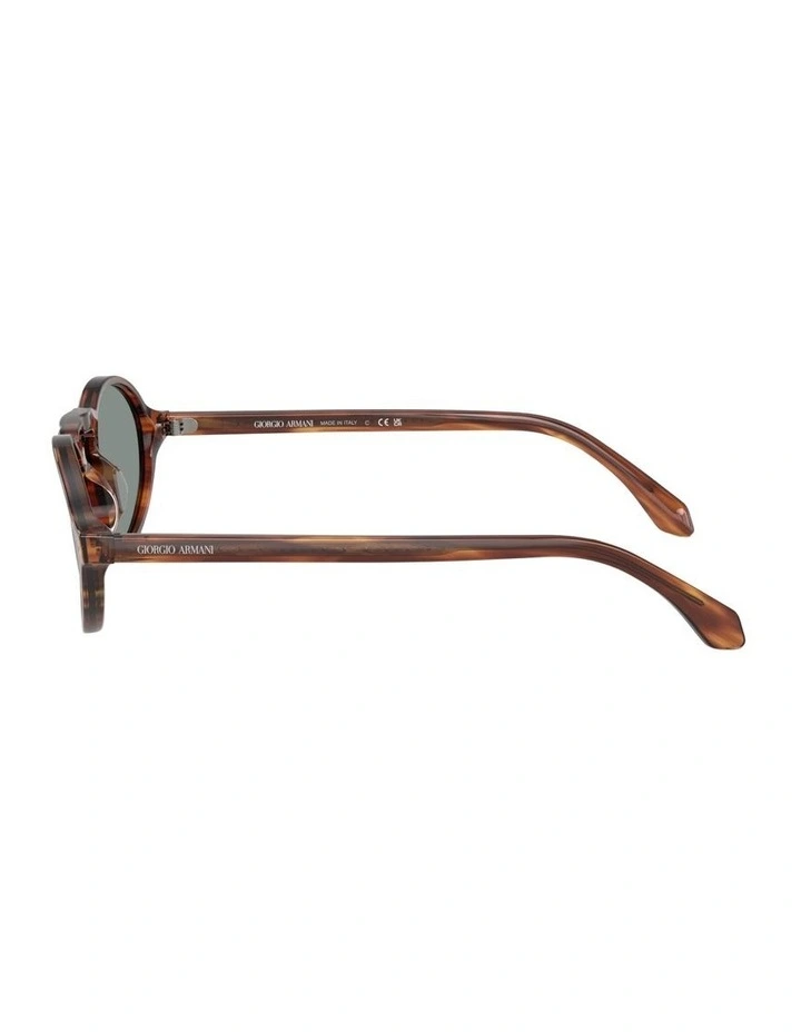 Acetate Sunglasses in Tortoise image 3
