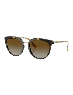 Willow Nylon Polarised Sunglasses in Brown