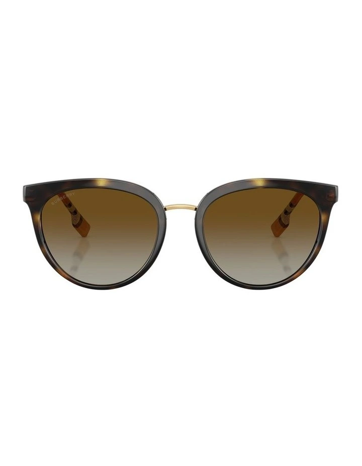 Willow Nylon Polarised Sunglasses in Brown image 2