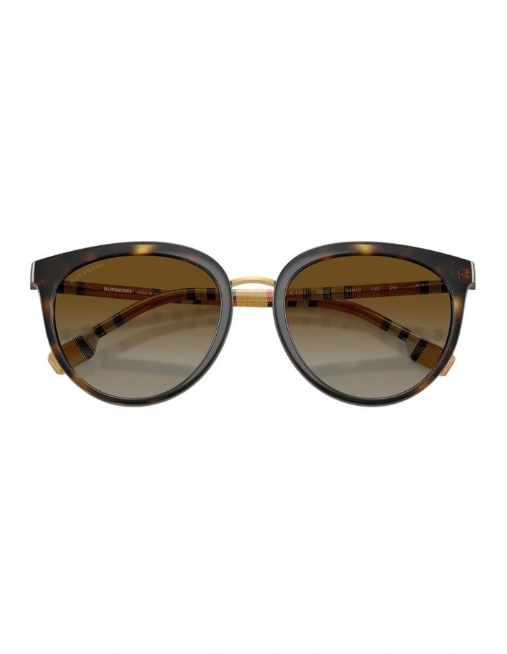 Willow Nylon Polarised Sunglasses in Brown image 5