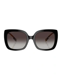 Caroll Acetate Sunglasses in Black