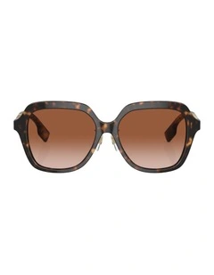 Joni Acetate Sunglasses in Brown