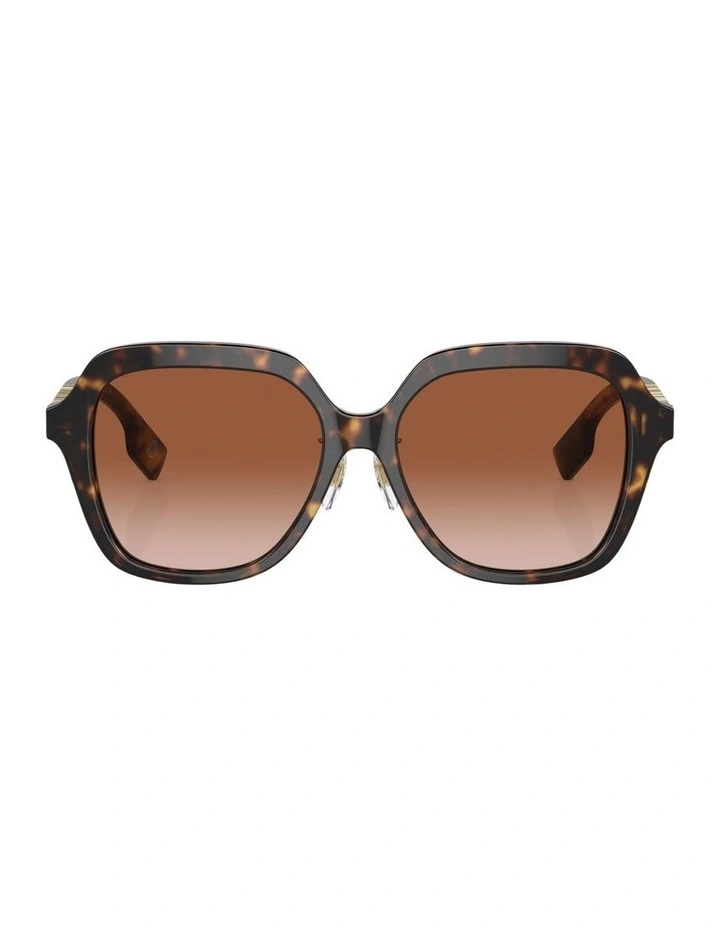 Joni Acetate Sunglasses in Brown image 1