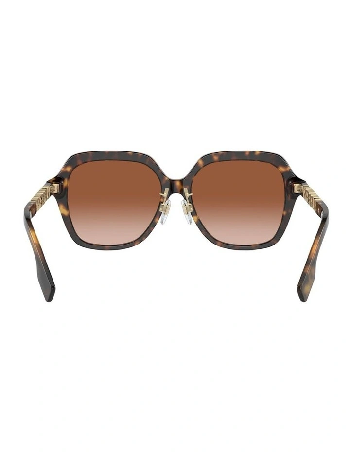 Joni Acetate Sunglasses in Brown image 2