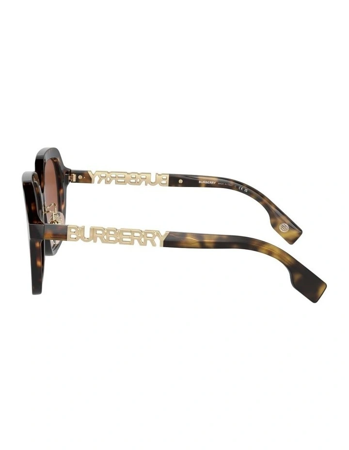 Joni Acetate Sunglasses in Brown image 3