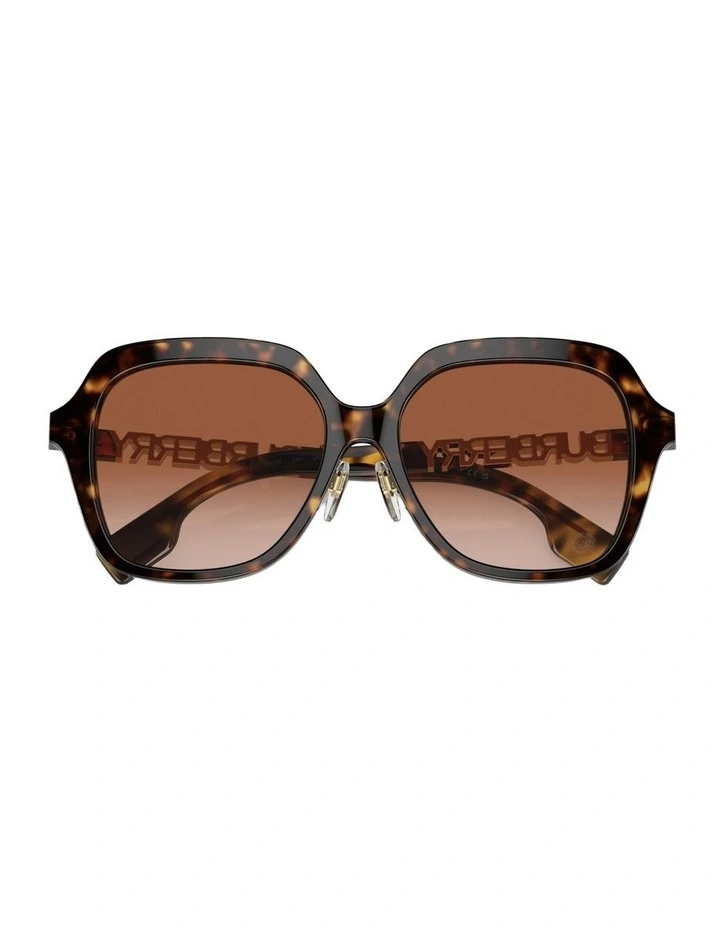 Joni Acetate Sunglasses in Brown image 4