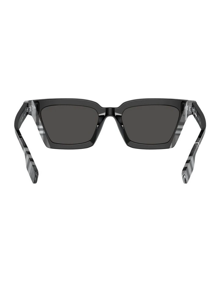 Briar Acetate Sunglasses in Black image 2