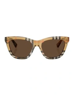 Acetate Sunglasses in Brown