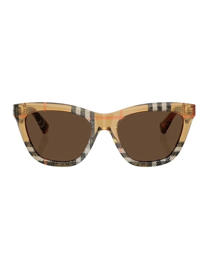 Acetate Sunglasses in Brown image 1