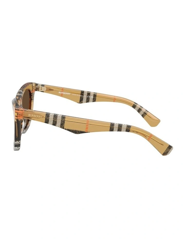 Acetate Sunglasses in Brown image 2