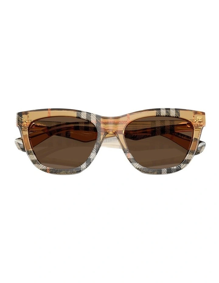 Acetate Sunglasses in Brown image 3
