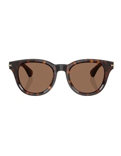Acetate Sunglasses in Brown